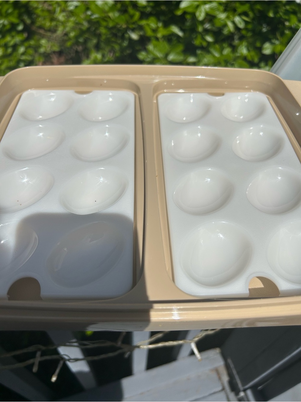 Tupperware Deviled Egg Container - Picture 2 of 4